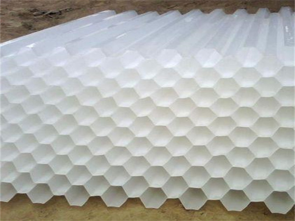 src=http___file03 src=http___file03