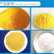 目前24含量聚合氯化鋁多少錢一噸？